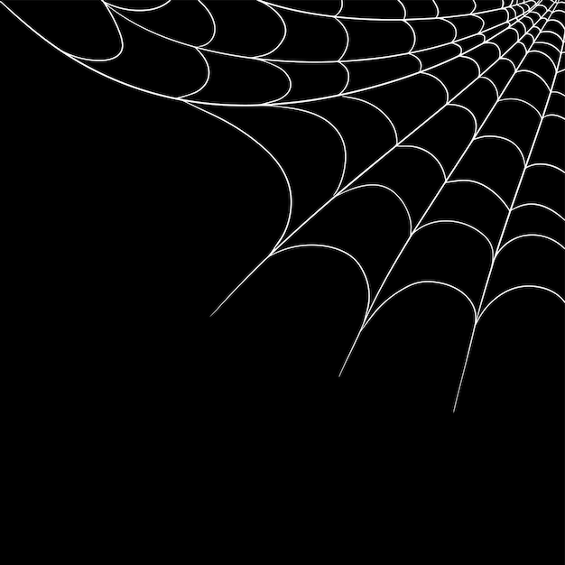 Vector isolated illustration of a cobweb for halloween on a black background