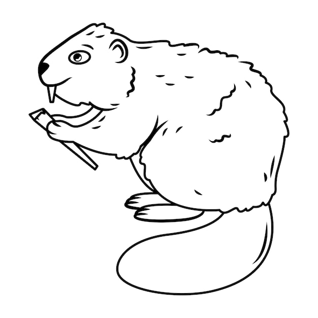 Isolated image of a beaver Cute forest animals in cartoon style outline image