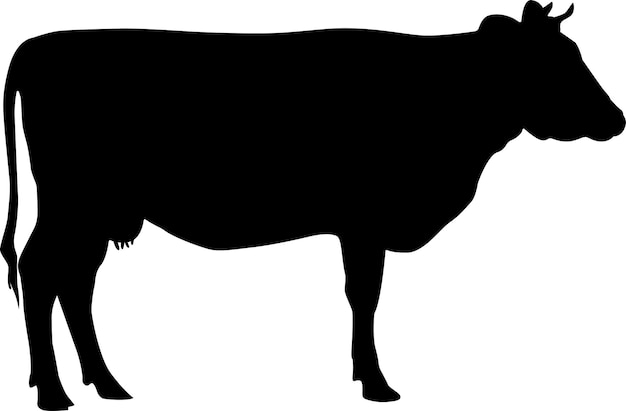 An isolated image of a cow. Creative graphic design for a butcher shop, farmer's market. Poster on the theme of animals. Black silhouette of a cow on a white background. A set of farm animals.