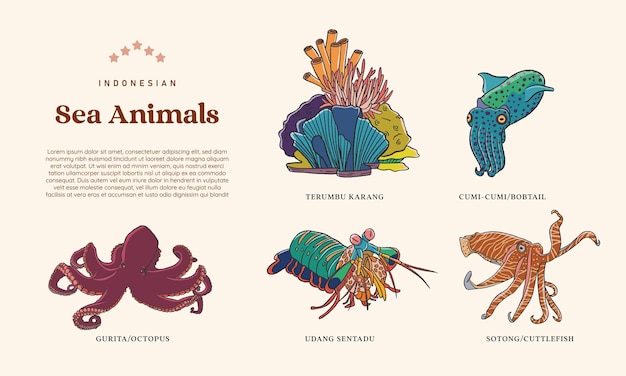 Isolated Indonesian Sea Animals hand drawn illustration