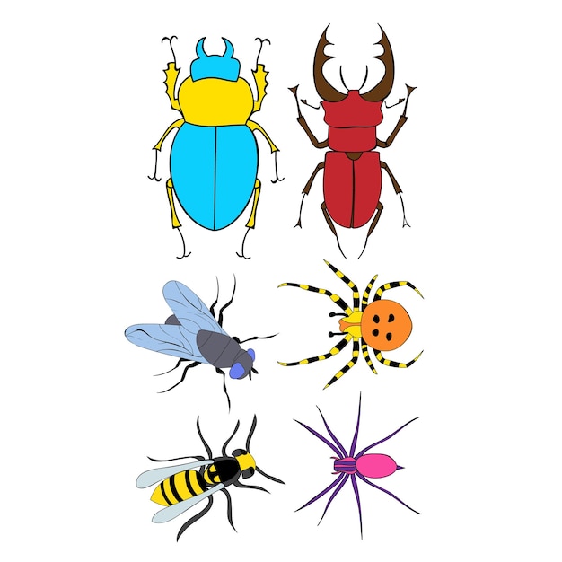 Isolated insects beetles set