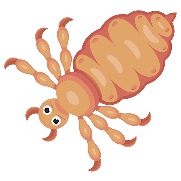 isolated louse flat vector illustration