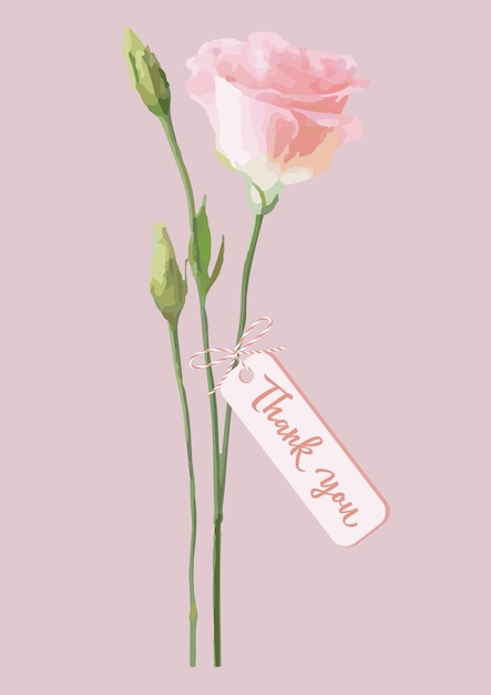 Isolated pink rose and tag with text Thank you. Greeting card design