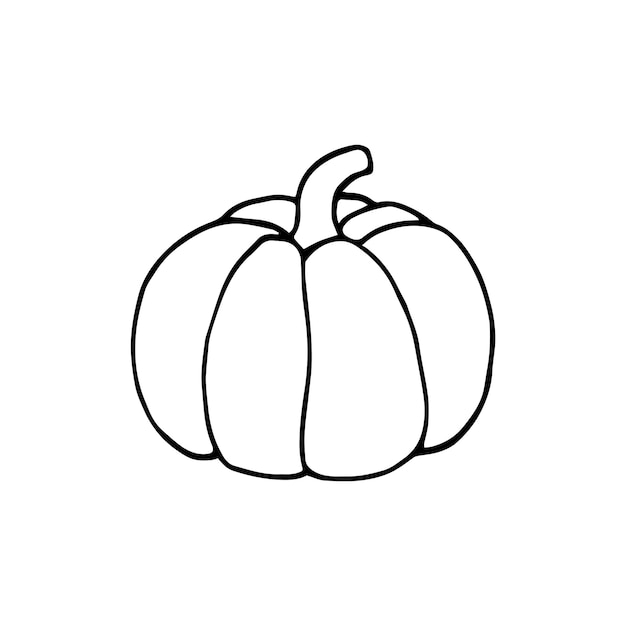 Isolated pumpkin on  white background handdrawn vector illustration S