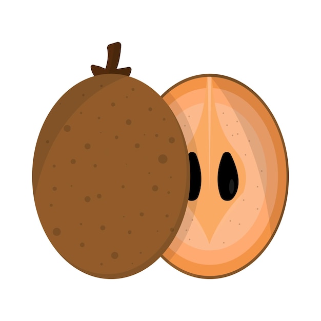 Isolated Sapodilla illustration - popular asian fruit especially in Indonesia