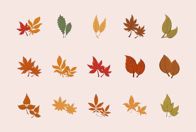 Isolated set of autumn leaves vector design