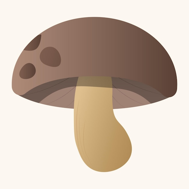 Isolated shitake mushroom brown fungi Basidiomycota flat design illustration