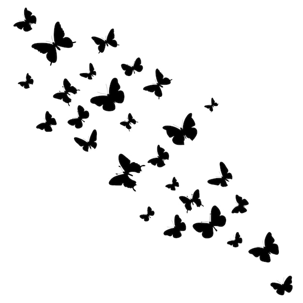 Vector isolated silhouette of a butterfly flying