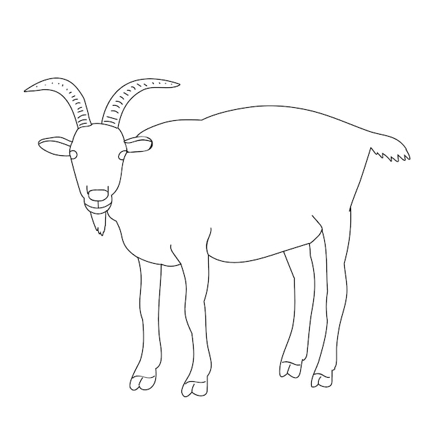 Isolated sketch of a goat on a white background