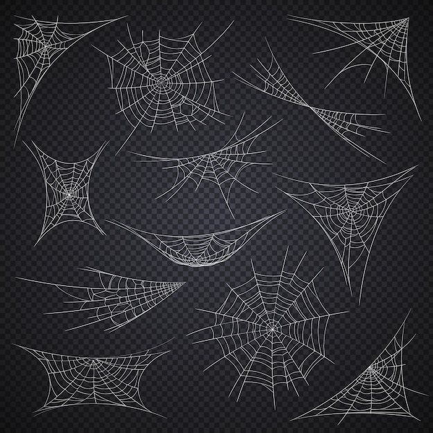 Isolated spider web and cobweb Halloween holiday