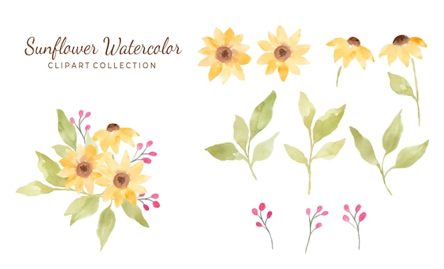 Isolated sunflower watercolor clipart collection