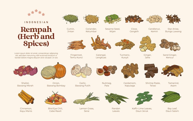 Isolated various Herb and Spices Rempah Indonesian illustration