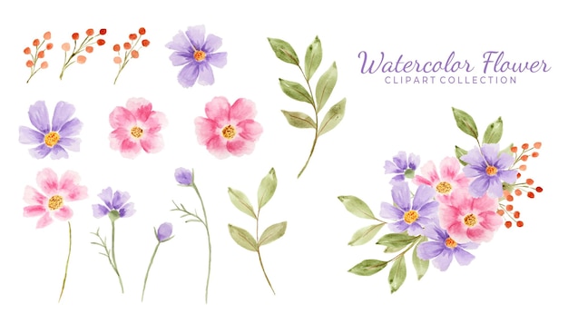 Isolated various watercolor flower clipart collection