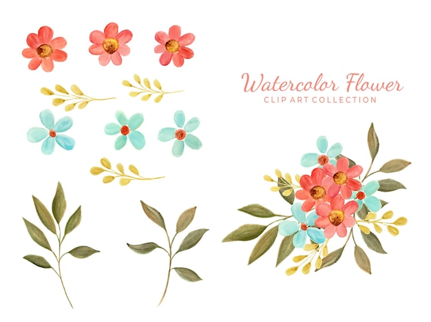 Isolated various watercolor flower clipart collection