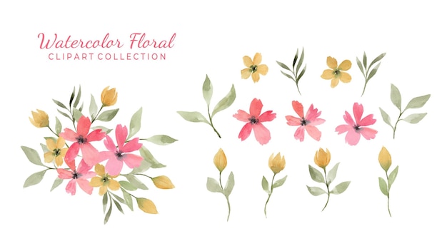 Isolated various watercolor flower clipart collection