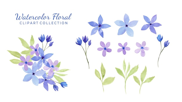 Isolated various watercolor flower clipart collection