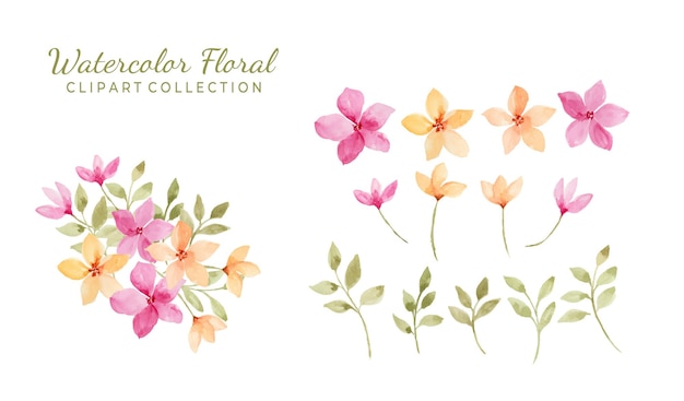 Isolated various watercolor flower clipart collection