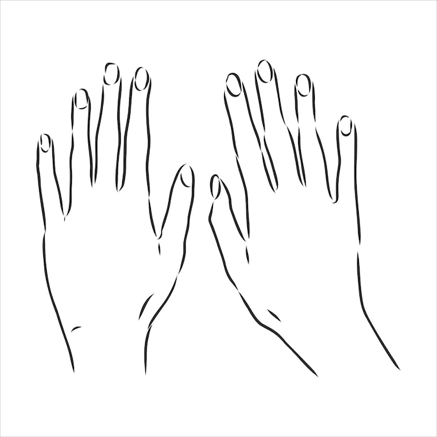 Isolated vector illustration. Elegant female hand. Hand drawn linear sketch.