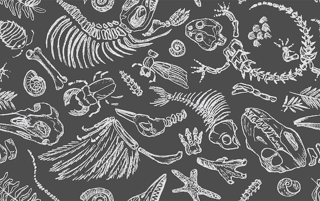 Isolated white chalk contour imprints skeletons of prehistoric animals insects and plants Seamless pattern realistic hand drawn art Vector illustration