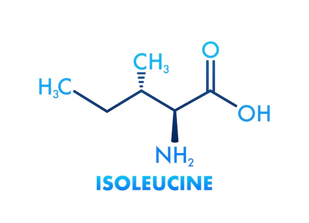 Isoleucine amino acid Chemical molecular formula Vector illustration