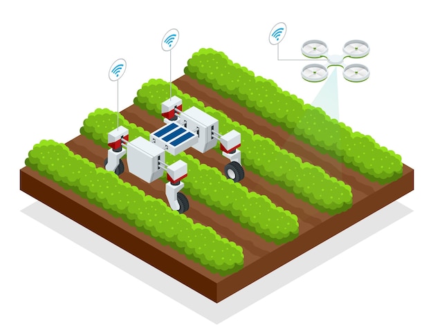 Vector isometric automatic controlled robots harvest berries. smart robotic in agriculture, automation robot farmers must be programmed to work.