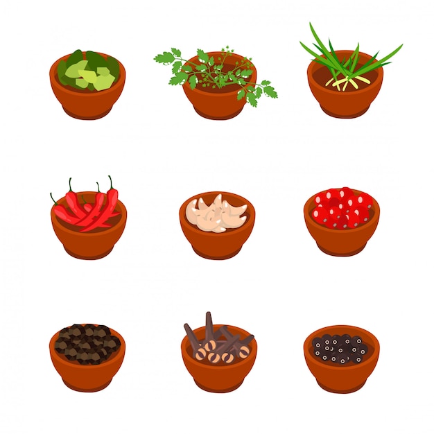 Isometric and cartoon style flavorful spices