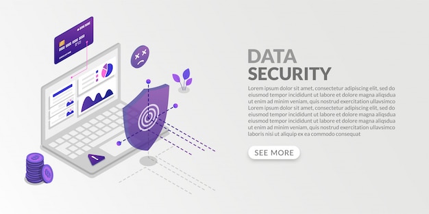 Isometric data protection system and personal information security