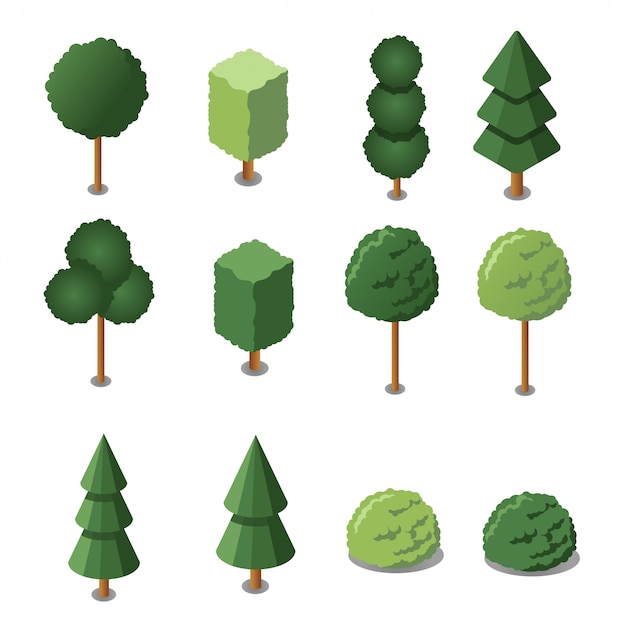 Isometric garden trees set. illustration. Isometric flat design. 