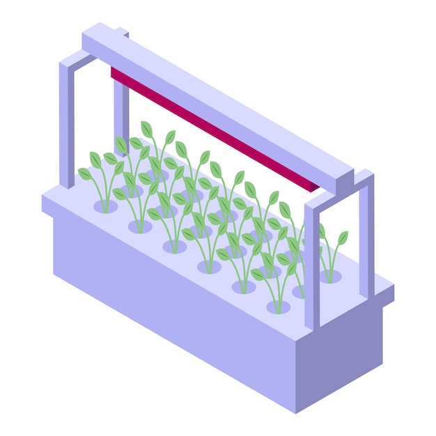 Vector isometric hydroponic plant growth system illustration