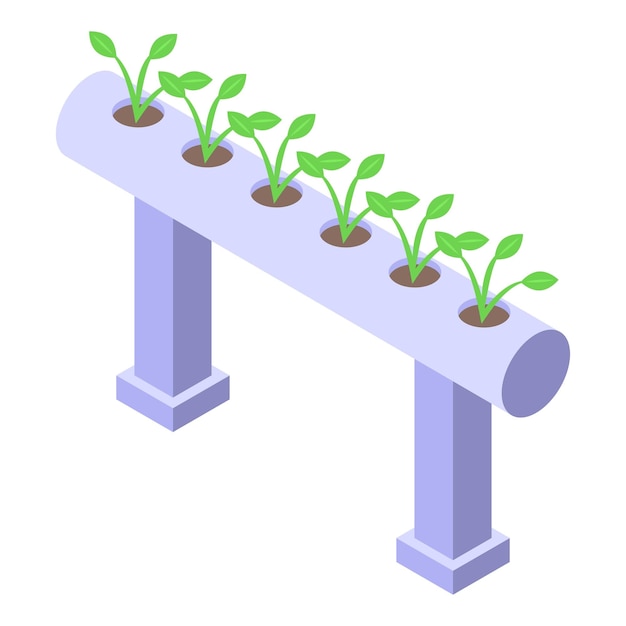 Vector isometric hydroponic plant system illustration