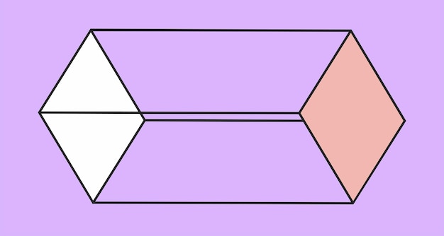 Vector isometric parallelepiped geometric shape