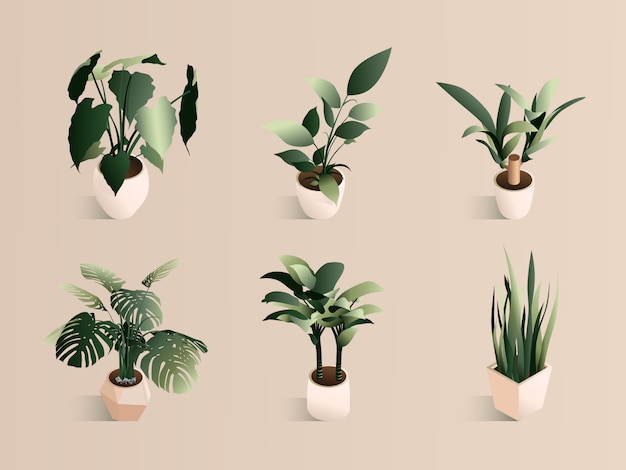 Isometric plant set in modern pot small set. Fresh green herbs.