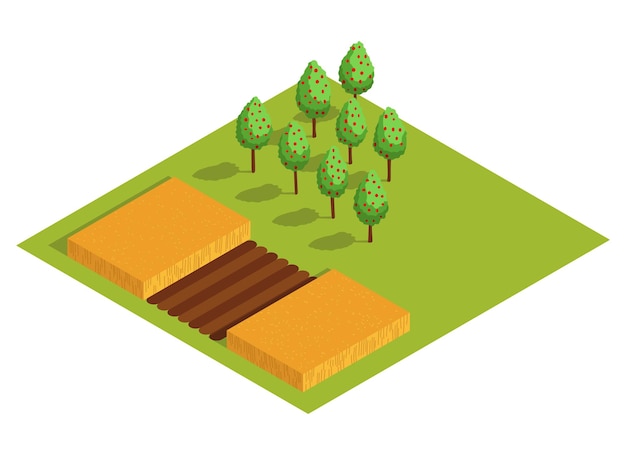 Isometric rural farm Growing fruit trees and a field with a harvest of wheat or other cereals Vector icon representing countryside element