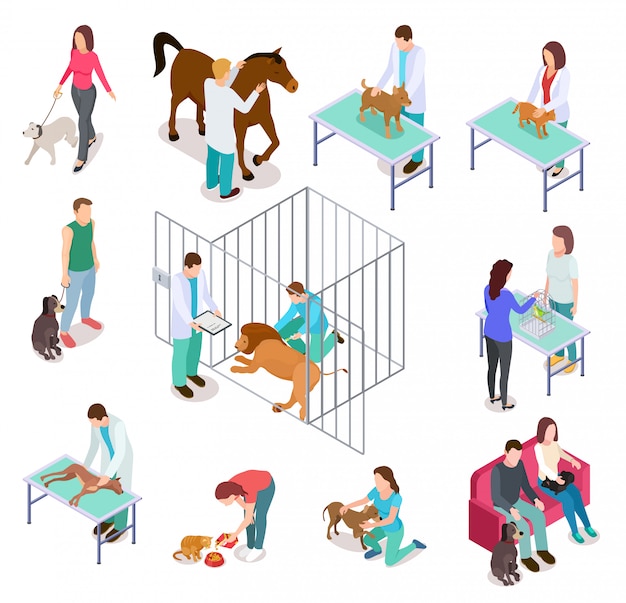 Isometric veterinary. Animals shelter people pet dog cat veterinarian volunteer veterinarians medicine clinic   set