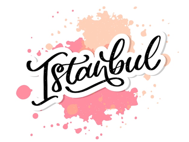 Istanbul hand lettering vector logo of istanbul in black color with seagulls on white background sou