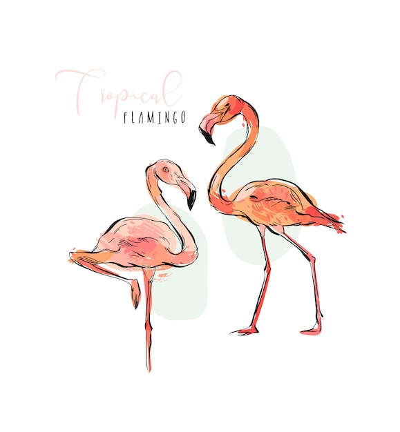    istic illustrations collection set of tropical exotic paradise bird pink flamingos in pastel colors isolated on white background