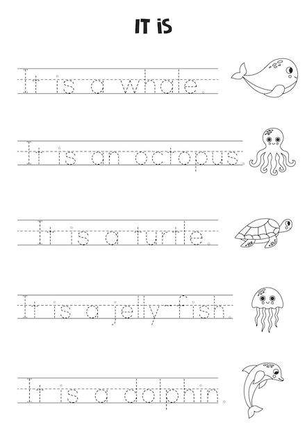 It is sentence for kids Sea animals Black and white worksheet