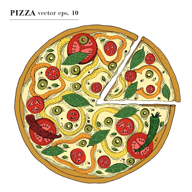 Italian Pizza vegetarian hand drawn vector illustration. Can be use for pizzeria, cafe, shop, restaurant.