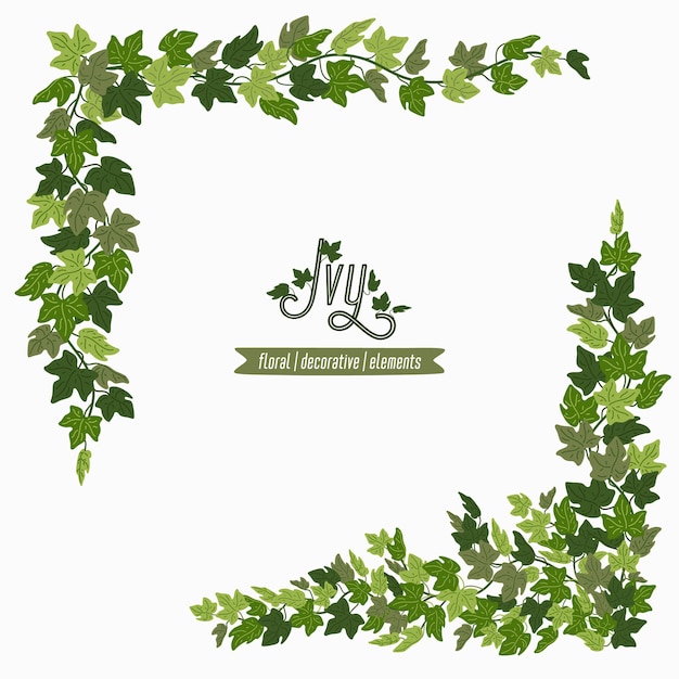 Vector ivy corners green vines decorative frame or design elements