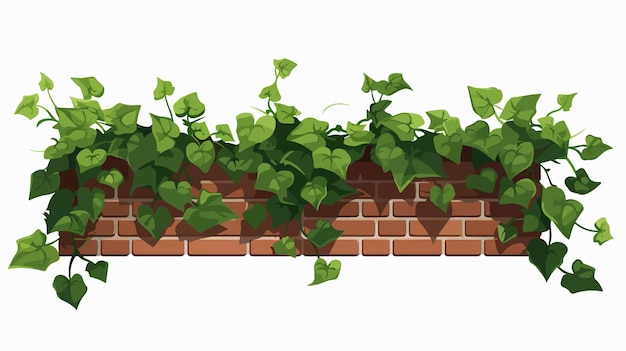 Ivy Growing On Brick Wall Flat Vector Isolated on White Background