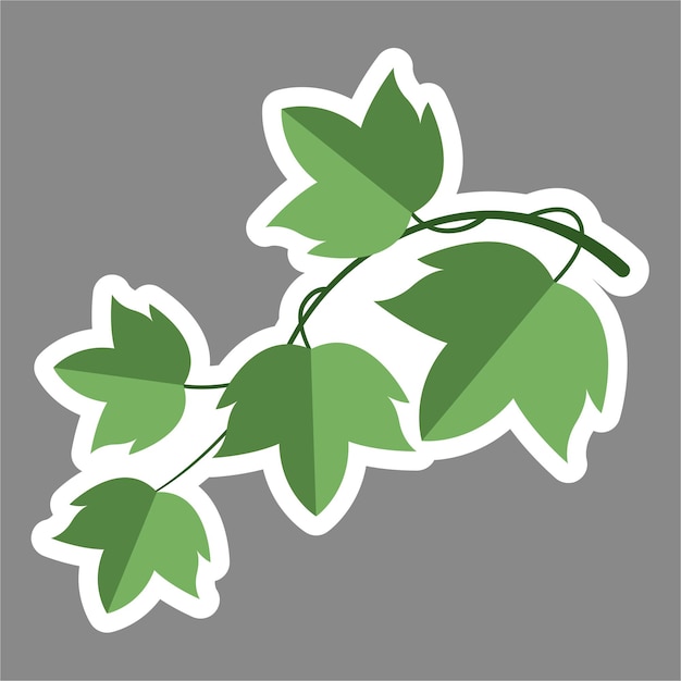 Ivy leaves isolated sticker on grey background