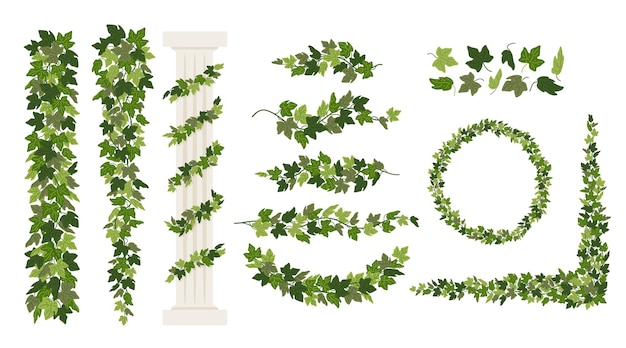 Vector ivy vines and wreaths and a greek antique column entwined with ivy