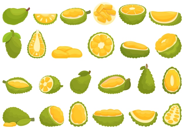 Jackfruit icons set cartoon vector Vegan fruit