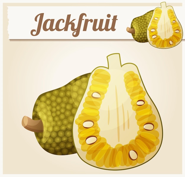 Jackfruit illustration cartoon vector icon