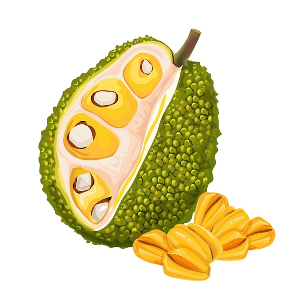 Jackfruit