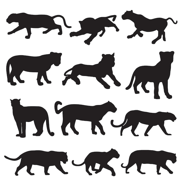 Jaguar animal silhouette