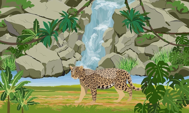 Jaguar near the tropical waterfall and large lake. Jaguar in the jungle