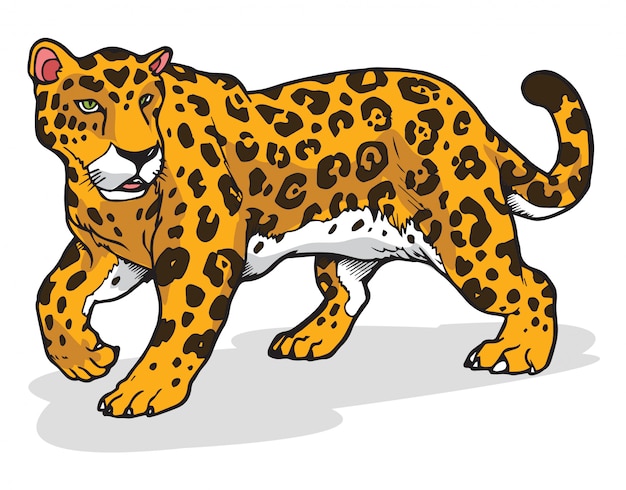 Jaguar vector illustration