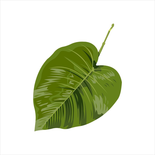 Jantung Hati Indonesia Decoration plant green Leaf Vector flat design graphic Illustration 2d HD