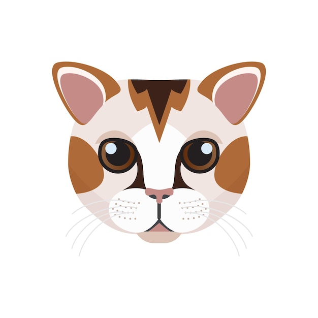 Vector japanese bobtail kitten face head of cute calico cat with spots